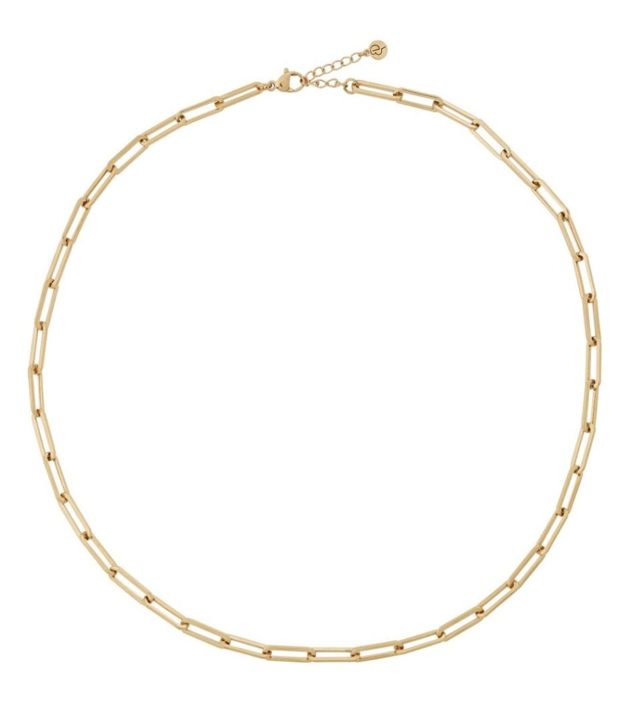 Halsband Edblad | Ivy Chain Necklace L Gold