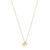 Halsband Edblad | Sirius Necklace Gold