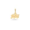 Charm Bar Edblad | Zodiac Sign Aquarius Gold