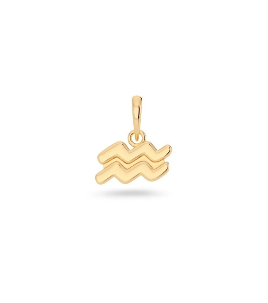 Charm Bar Edblad | Zodiac Sign Aquarius Gold