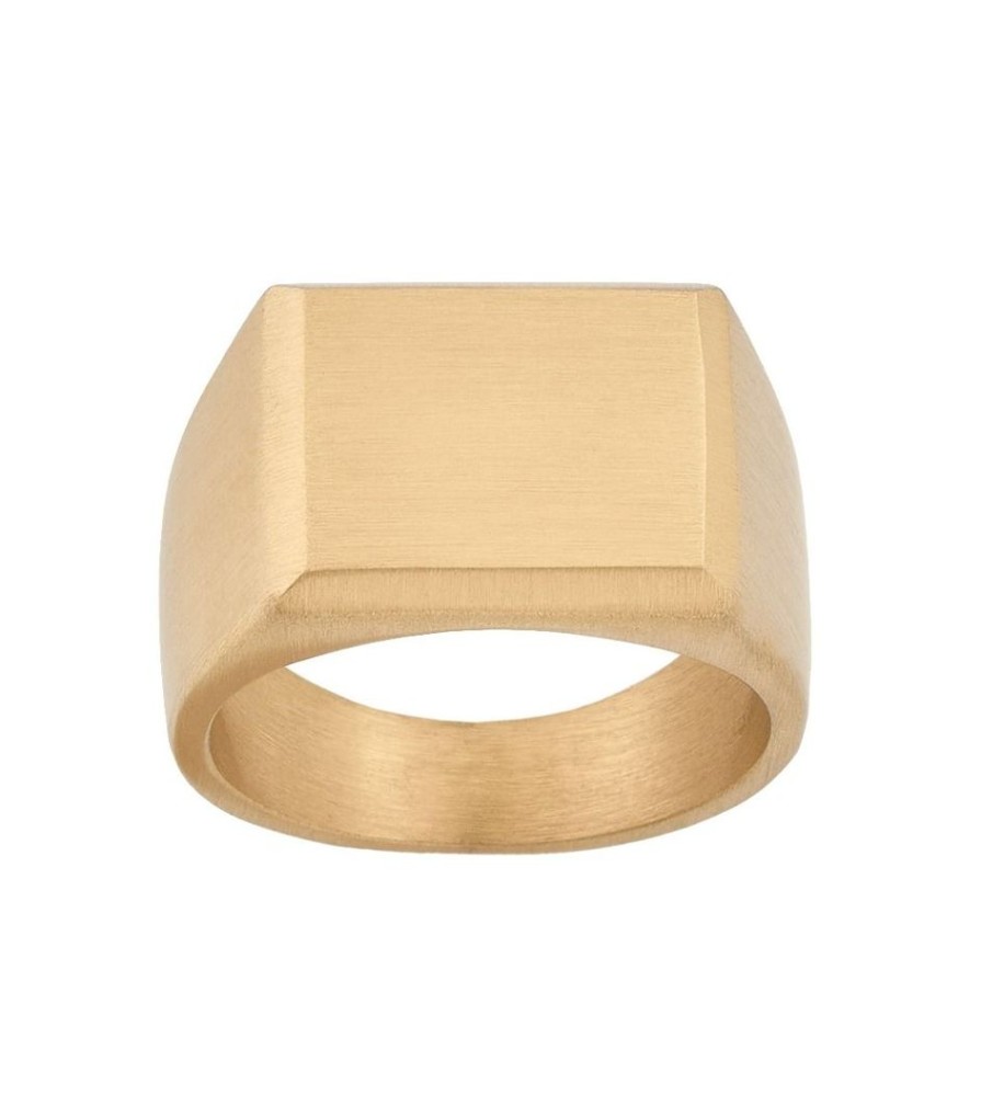 Ringar Edblad | Cole Signet Ring Matt Gold