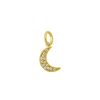 Berlocker Edblad | Moon Sparkle Charm Gold