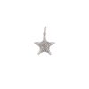 Berlocker Edblad | Starfish Charm Steel