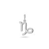 Charm Bar Edblad | Zodiac Sign Capricorn Steel