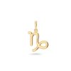 Charm Bar Edblad | Zodiac Sign Capricorn Gold